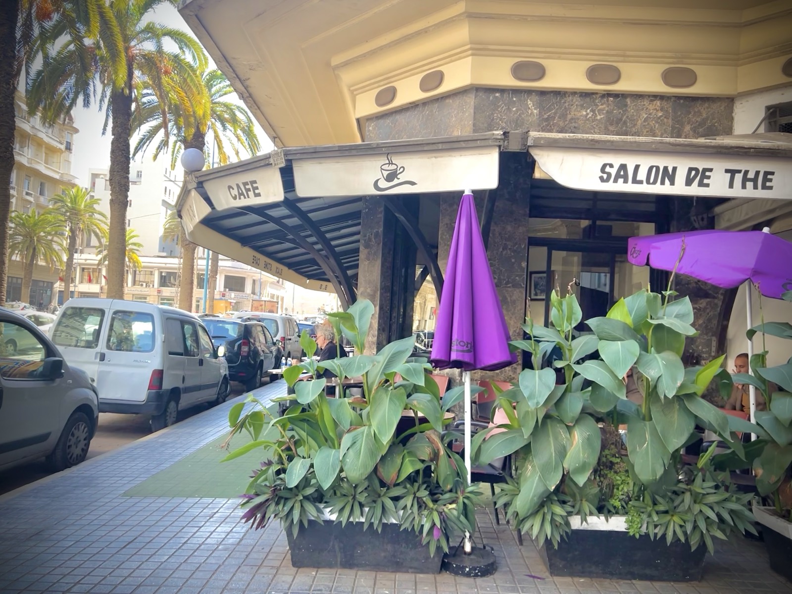 Café terrace on a palm-lined avenue, Casablanca